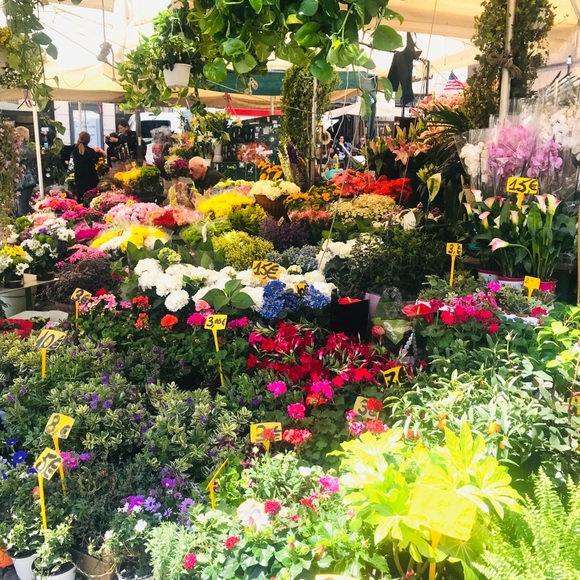 Meet your Posher, M - Picture 2 of 2